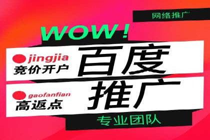 成功案例：百度推广代理商助力产品快速崛起