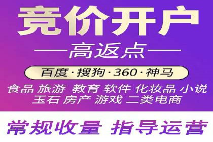 成功案例：百度推广代理商助力产品快速崛起